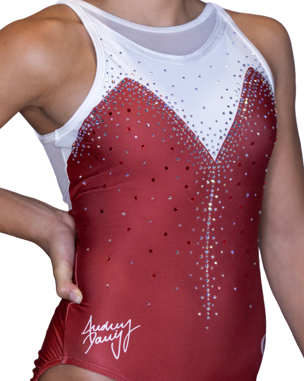 inTENtion Leotard - Image 3